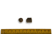 F 00151
<br/>
<br/>
<em></em>